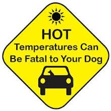 manchaca garage - hot temps no good for dogs