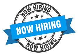 Want to Join our Team? We are Hiring